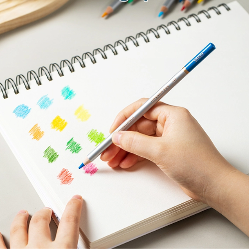 Dmast Color Pencil 24 Colors