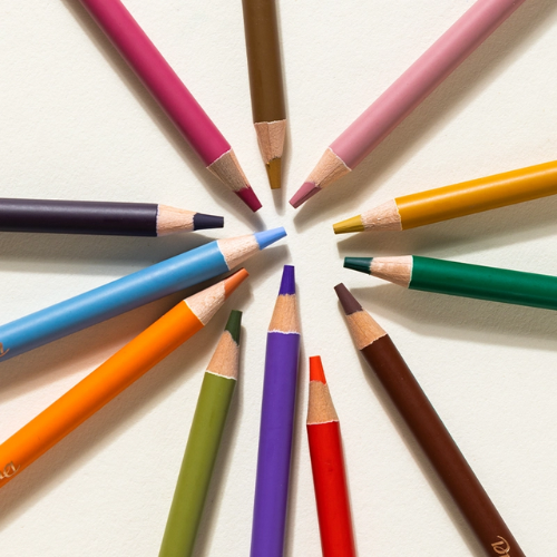 Dmast Pastel Pencil 12 Colors