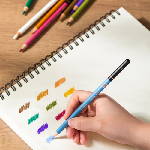 Dmast Pastel Pencil 12 Colors