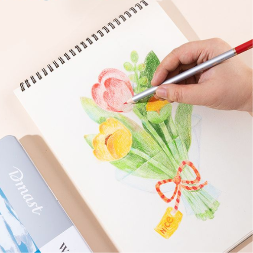 Dmast Water Color Pencil 24 Colors With Brush