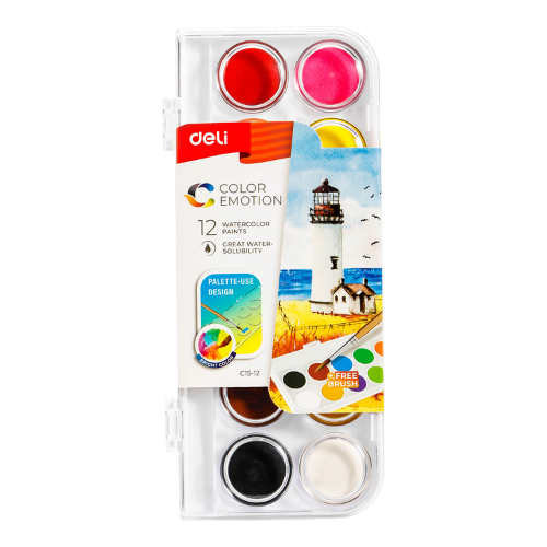 Water Color Cake Paint 12 Color With Brush